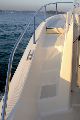 WHITE SHARK WHITE SHARK 228
